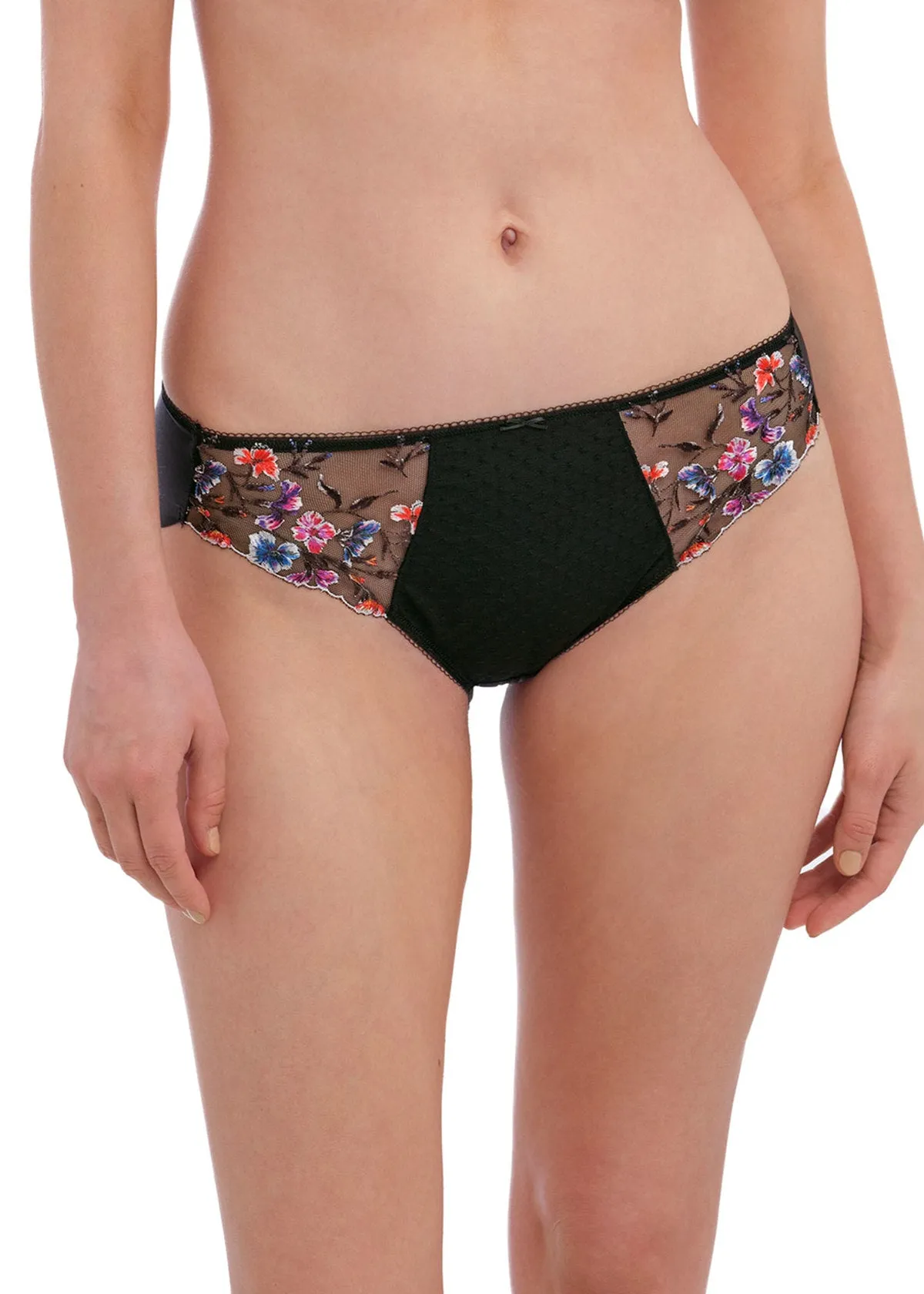 Aurelia Brief