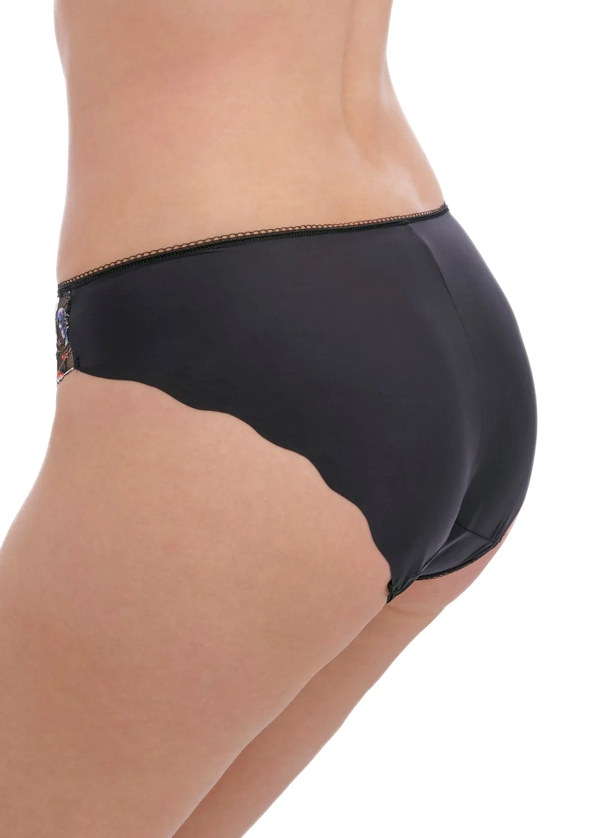 Aurelia Brief