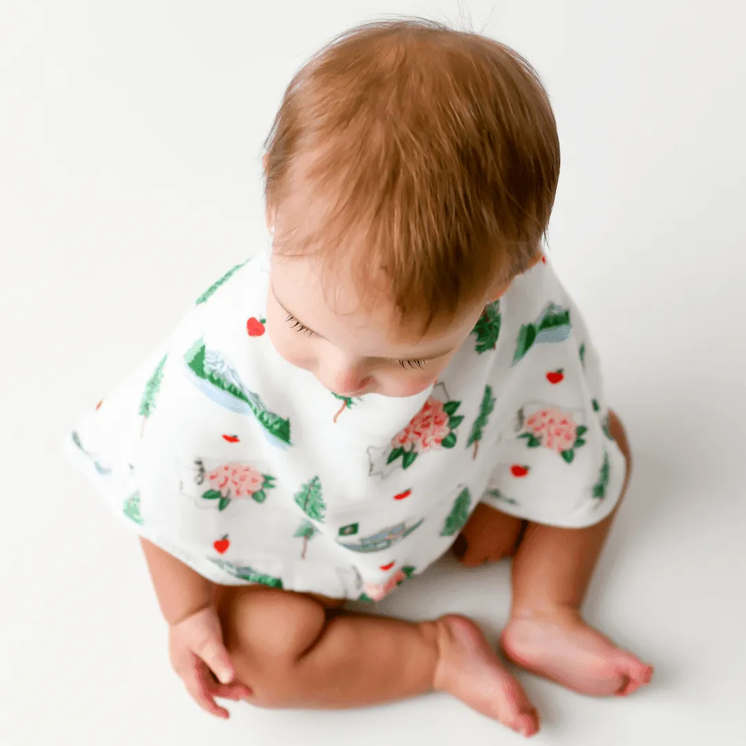 Baby Burp Cloth & Bib Combo: Washington (State)