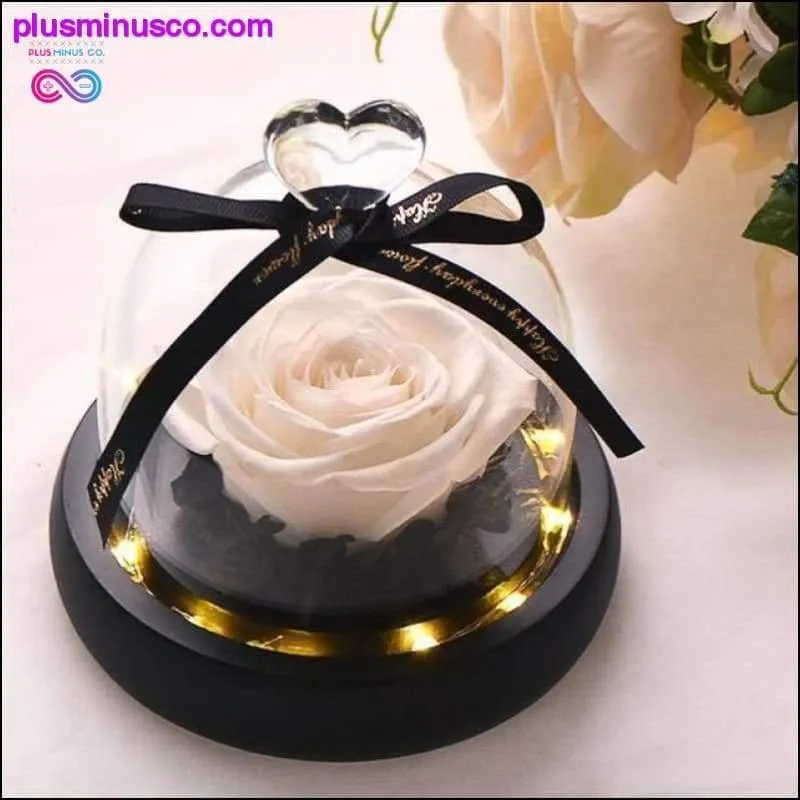 Beauty and the Beast Red Rose in a Glass Dome with LED Light