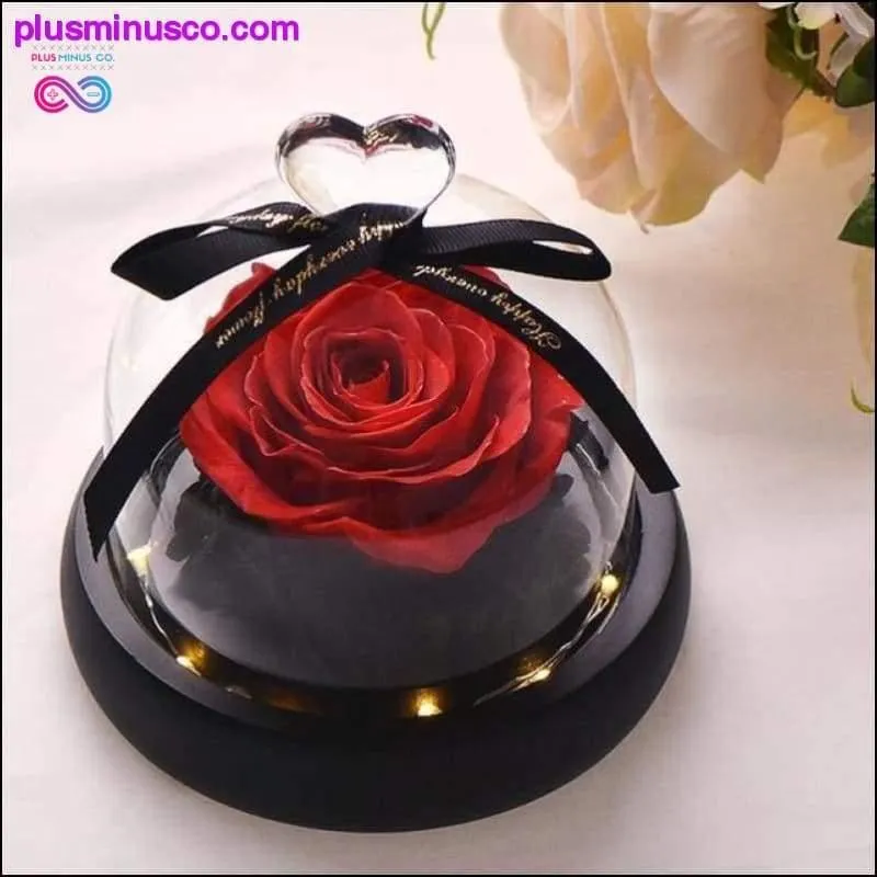 Beauty and the Beast Red Rose in a Glass Dome with LED Light