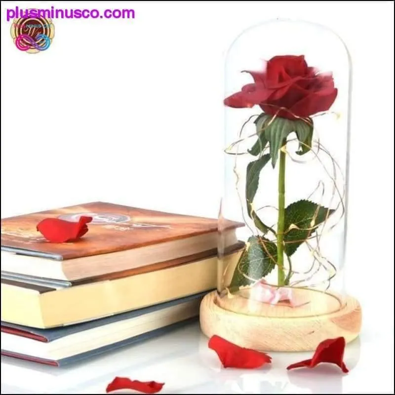 Beauty and the Beast Red Rose in a Glass Dome with LED Light