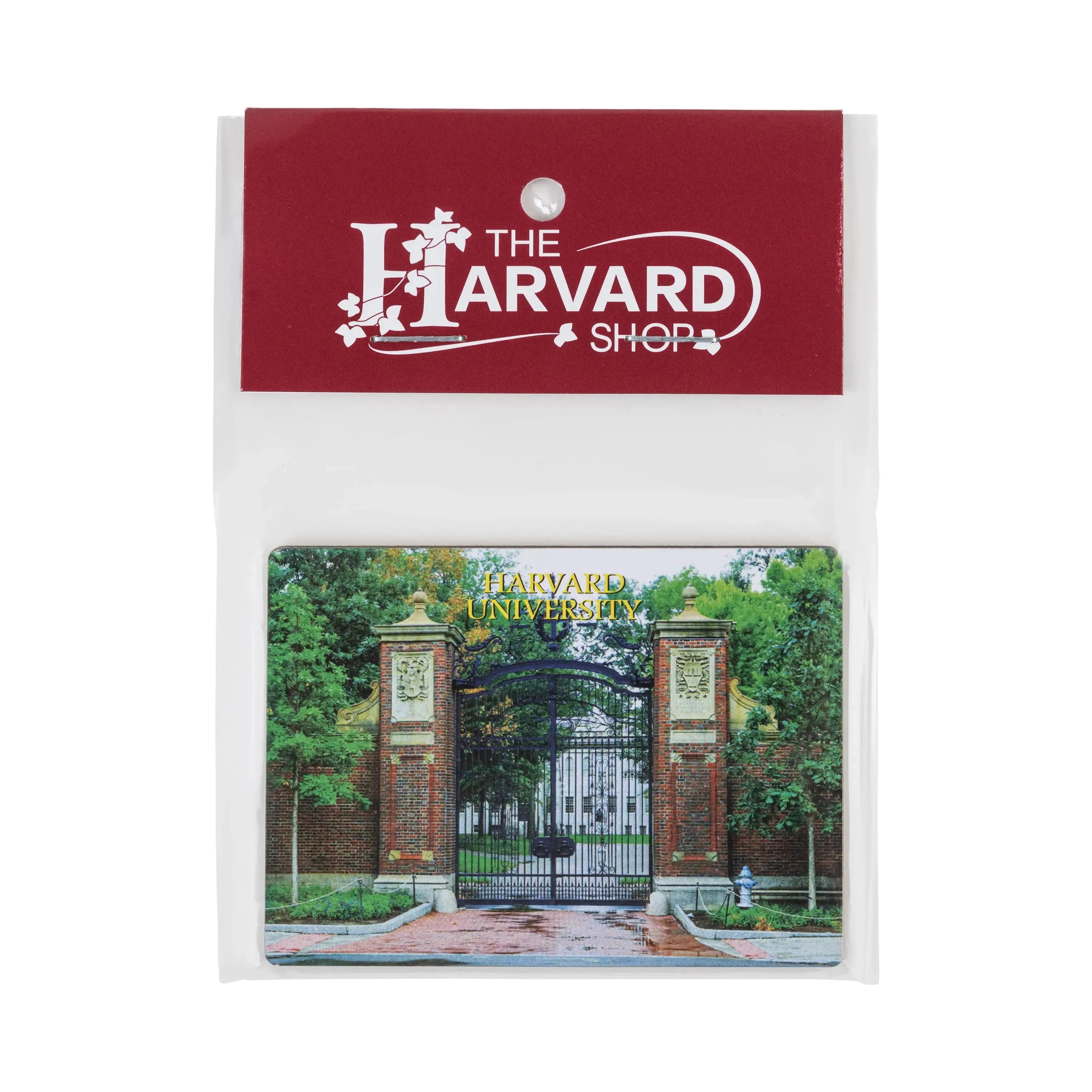 Harvard Johnston Gate Magnet