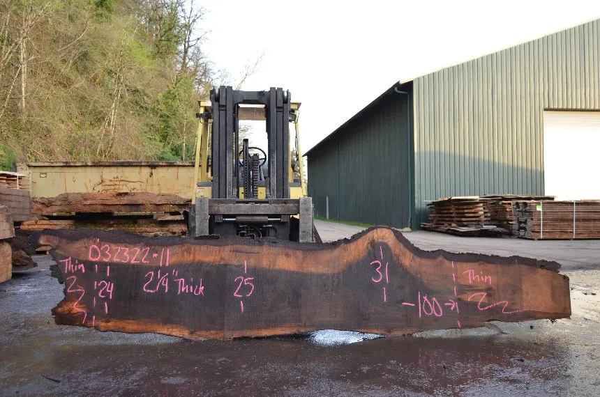 Oregon Black Walnut Slab 032322-11