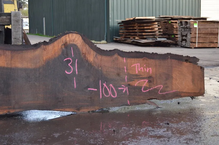 Oregon Black Walnut Slab 032322-11