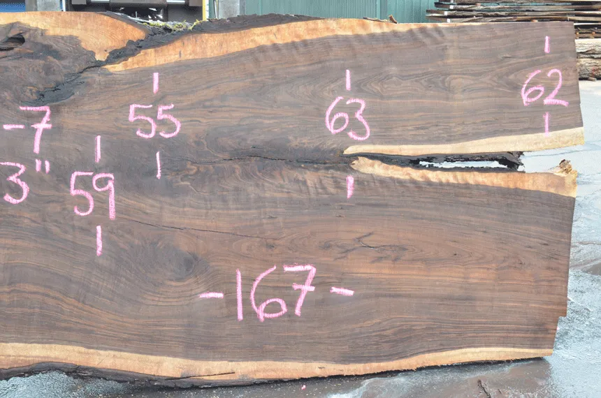 Oregon Black Walnut Slab 070220-07