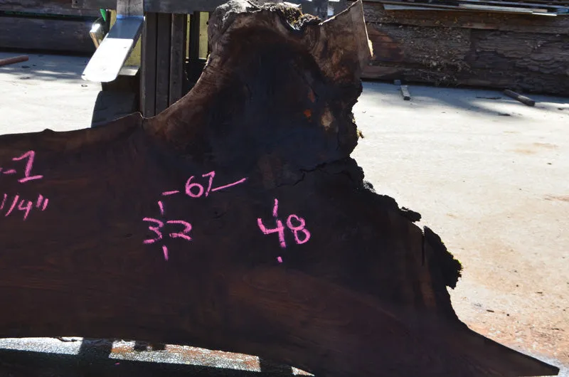 Oregon Black Walnut Slab 071514-01